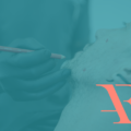 AF Collagen Biostimulator – 12 Novembre 2024